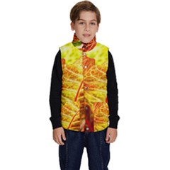 Leaves Plant Pattern Croton Nature Kid s Button Up Puffer Vest by Sabxi