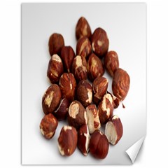 Hazelnuts Canvas 12  X 16  (unframed) by hlehnerer