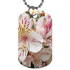 Flower Alstromeria Dog Tag (one Sided) by ADIStyle