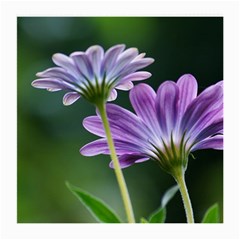 Flower Glasses Cloth (medium, Two Sided) by Siebenhuehner