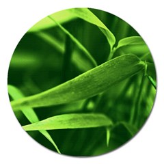 Bamboo Magnet 5  (round) by Siebenhuehner