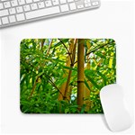 Bamboo Small Mouse Pad (Rectangle) Front