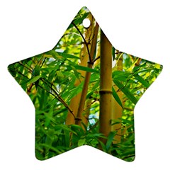 Bamboo Star Ornament by Siebenhuehner