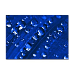 Waterdrops A4 Sticker 100 Pack by Siebenhuehner