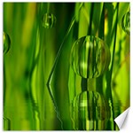 Green Bubbles  Canvas 20  x 20  (Unframed) 19 x19.27  Canvas - 1