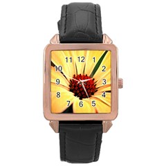 Osterspermum Rose Gold Leather Watch  by Siebenhuehner