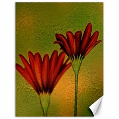 Osterspermum Canvas 18  X 24  (unframed) by Siebenhuehner