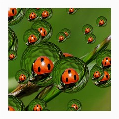 Ladybird Glasses Cloth (medium, Two Sided) by Siebenhuehner