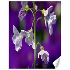 Cuckoo Flower Canvas 18  X 24  (unframed) by Siebenhuehner