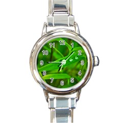 Bamboo Leaf With Drops Round Italian Charm Watch by Siebenhuehner