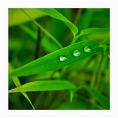 Bamboo Leaf With Drops Glasses Cloth (medium, Two Sided) by Siebenhuehner