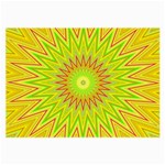 Mandala Glasses Cloth (Large, Two Sided) Back