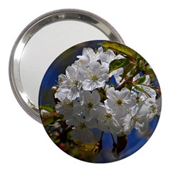 Cherry Blossom 3  Handbag Mirror by Siebenhuehner