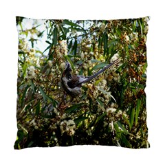 Australia Bird Cushion Case (single Sided)  by Contest1852090