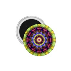 Rainbow Glass 1 75  Button Magnet by Zandiepants