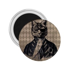 Harlequin Cat 2 25  Button Magnet by StuffOrSomething