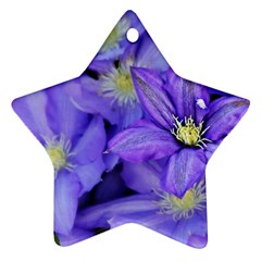 Purple Wildflowers For Fms Star Ornament (two Sides) by FunWithFibro