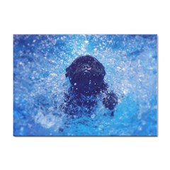 French Bulldog Swimming A4 Sticker 10 Pack by StuffOrSomething