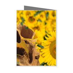 Sunflowers Mini Greeting Card (8 Pack) by icarusismartdesigns