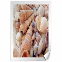 Seashells 3000 4000 Canvas 24  X 36  (unframed) by yoursparklingshop