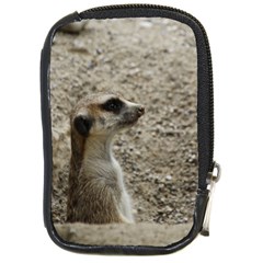 Adorable Meerkat Compact Camera Cases by ImpressiveMoments