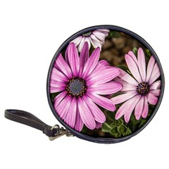 Beautiful Colourful African Daisies  Classic 20-cd Wallets by OZMedia