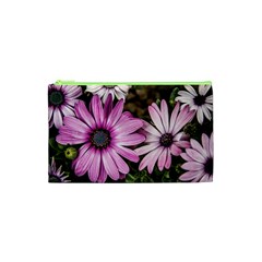 Beautiful Colourful African Daisies  Cosmetic Bag (xs) by OZMedia