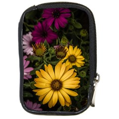 Beautiful Colourful African Daisies  Compact Camera Cases by OZMedia