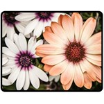 Beautiful Colourful African Daisies Fleece Blanket (Medium)  60 x50  Blanket Front