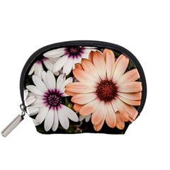 Beautiful Colourful African Daisies Accessory Pouches (small)  by OZMedia