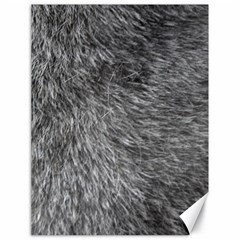 Grey Wolf Fur Canvas 18  X 24   by trendistuff