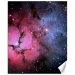 TRIFID NEBULA Canvas 16  x 20   15.75 x19.29  Canvas - 1