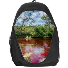 Cano Cristales 3 Backpack Bag by trendistuff