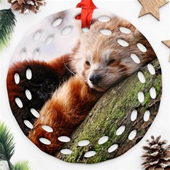 Red Panda Round Filigree Ornament (2side) by trendistuff