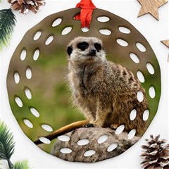 Meerkat Round Filigree Ornament (2side) by trendistuff