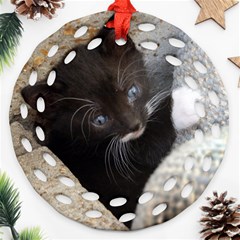 Pretty Blue-eyed Kitty Round Filigree Ornament (2side) by trendistuff