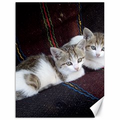 Kitty Twins Canvas 18  X 24   by trendistuff