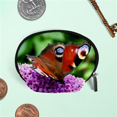 Peacock Butterfly Accessory Pouches (small)  by trendistuff