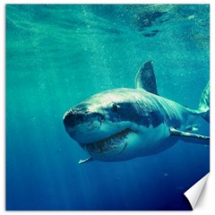 Great White Shark 1 Canvas 20  X 20   by trendistuff