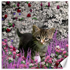 Emma In Flowers I, Little Gray Tabby Kitty Cat Canvas 12  X 12   by DianeClancy