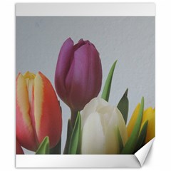 Tulips Canvas 20  X 24   by picsaspassion