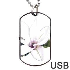 White Magnolia Pencil Drawing Art Dog Tag Usb Flash (two Sides)  by picsaspassion