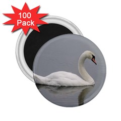 Swimming White Swan 2 25  Magnets (100 Pack)  by picsaspassion