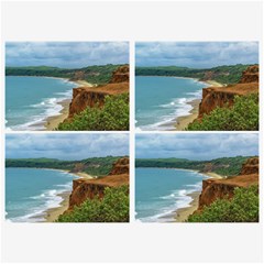 Aerial Seascape Scene Pipa Brazil Belt Buckles by dflcprints