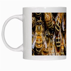 Honey Bee Water Buckfast White Mugs by Nexatart