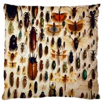 Insect Collection Large Flano Cushion Case (Two Sides) Back