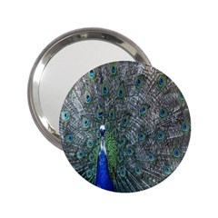 Peacock Four Spot Feather Bird 2 25  Handbag Mirrors by Nexatart