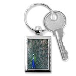 Peacock Four Spot Feather Bird Key Chains (Rectangle)  Front