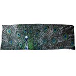 Peacock Four Spot Feather Bird Body Pillow Case (Dakimakura) Body Pillow Case