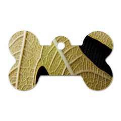 Yellow Leaf Fig Tree Texture Dog Tag Bone (one Side) by Nexatart